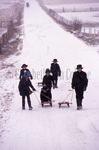 Amish boys sledding by Dennis L. Hughes