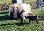 Amish boys with goat and calf by Dennis L. Hughes
