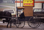 Amish children in brown top buggy by Dennis L. Hughes