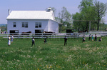 Amish and Mennonite children playing baseball by Dennis L. Hughes