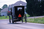 Amish buggy on road in Delaware by Dennis L. Hughes