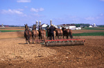 Amish man working in field by Dennis L. Hughes