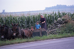 Amish woman driving mules with two girls by Dennis L. Hughes