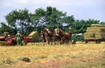 Making bales of hay by Dennis L. Hughes