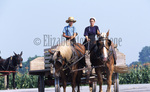 Amish girl and boy driving wagon by Dennis L. Hughes