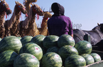 Amish woman on watermelon wagon by Dennis L. Hughes