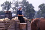 Young Amish woman with cataloupe wagon by Dennis L. Hughes