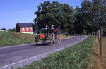 Amish boys riding buggy by Dennis L. Hughes