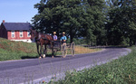 Two Amish boys in open buggy by Dennis L. Hughes