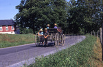 Amish boys on open buggy by Dennis L. Hughes