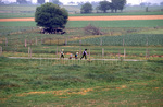 Amish boys walking past fields by Dennis L. Hughes