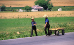 Two young Amish boys pull wagon by Dennis L. Hughes