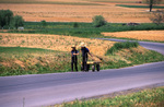 Amish boys with wagon by Dennis L. Hughes