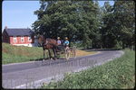 Two Amish boys ride buggy down road by Dennis L. Hughes