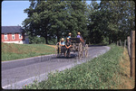 Four Amish boys in open buggy by Dennis L. Hughes