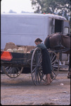 Amish girl putting cantaloupes in buggy by Dennis L. Hughes
