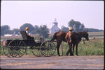 Two Amish boys with open buggy by Dennis L. Hughes