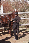 Amish boys by horse by Dennis L. Hughes