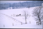 Amish group walking with sleds by Dennis L. Hughes