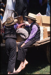 Amish boys on cart by Dennis L. Hughes