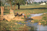 Man reaches into stream by Dennis L. Hughes