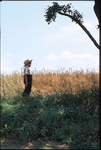 Amish boy in field by Dennis L. Hughes